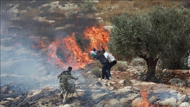 مستوطنون يضرمون النار بأراض فلسطينية وسط الضفة 
