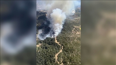 İzmir'de orman yangınına ekiplerce müdahale ediliyor