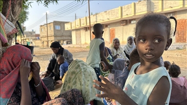 Egypt hosts international conference to address Sudan crisis