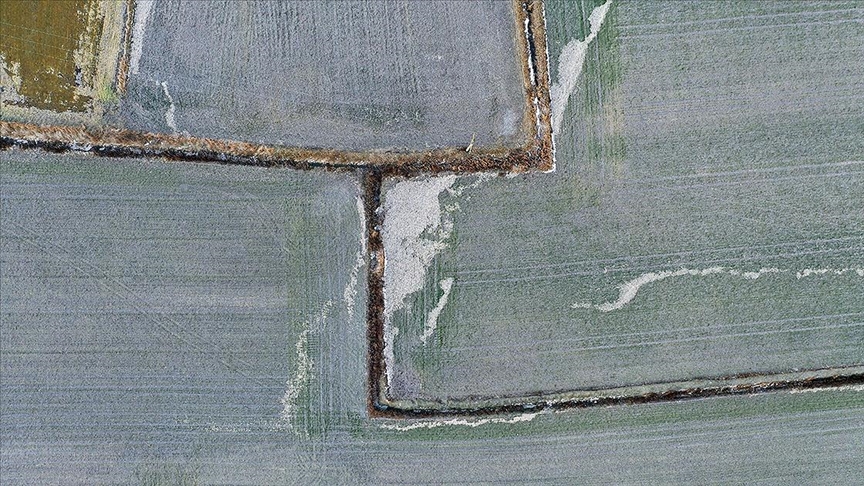 Devlet destekli tarım sigortalarında son 5 yılda en fazla ödeme "don" hasarlarına yapıldı