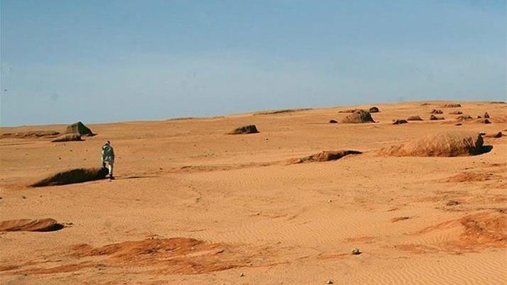 14 people die in Algerian desert near Libyan border