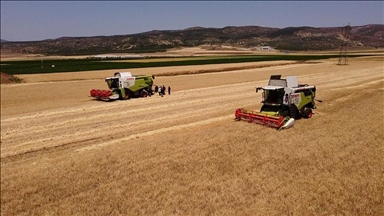 TMO, üreticilerden 2 milyon tonun üzerinde buğday ve arpa aldı