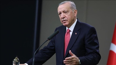 Эрдоган: Турция заострит внимание на массовых убийствах в Газе на саммите НАТО