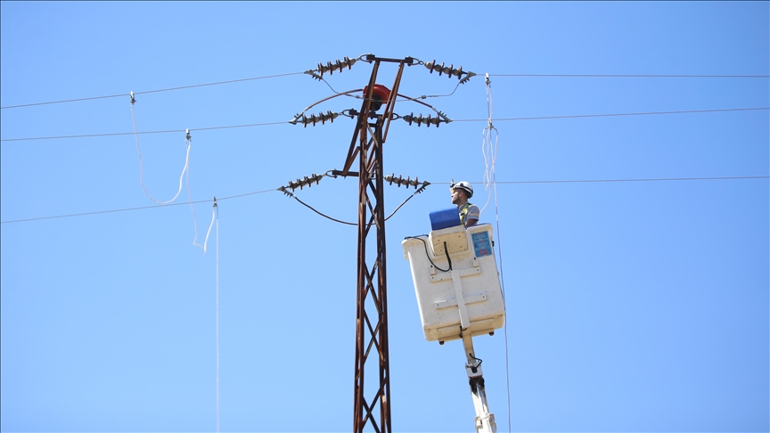 Trakya'da elektrik telleri şah kartalları için izole ediliyor