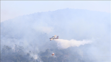 Muğla'da yılbaşından bu yana çıkan 178 yangında 247 hektar alan zarar gördü
