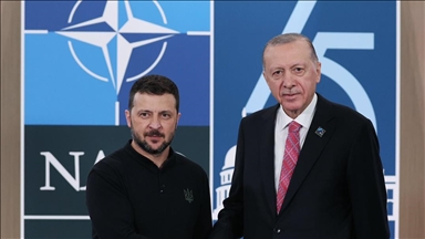 Turkish, Ukrainian presidents meet in US 