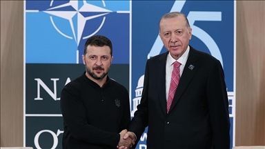 أردوغان يلتقي زيلينسكي على هامش قمة الناتو 