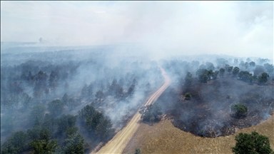 Edirne'de Bulgaristan sınırındaki orman yangını kontrol altına alındı