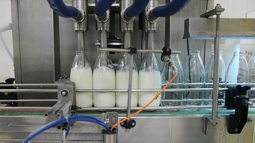 Toplanan inek sütü miktarı mayısta yıllık bazda yüzde 7,4 arttı