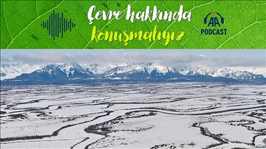 Rusya’nın kutup bölgelerinin restorasyonu Türk profesöre emanet edildi