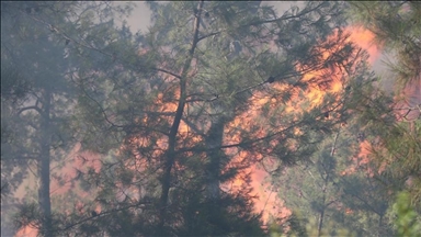 Пожарникарите гаснат голем пожар во Истра, Хрватска