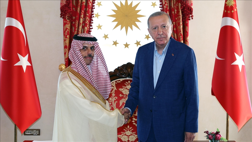 دیدار اردوغان و وزیر خارجه عربستان در استانبول