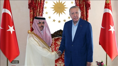 Президент Эрдоган принял главу МИД Саудовской Аравии
