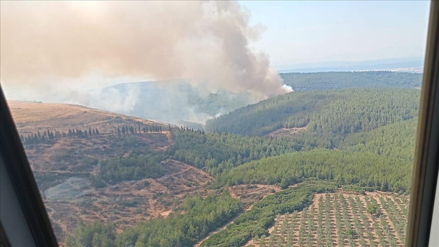İzmir'in Menderes ilçesindeki orman yangını kontrol altına alındı
