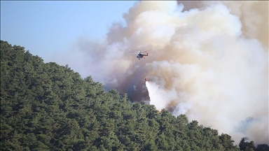 Çanakkale'de tarım arazisinde çıkıp ormanlık alana sıçrayan yangın kısmen kontrol altına alındı