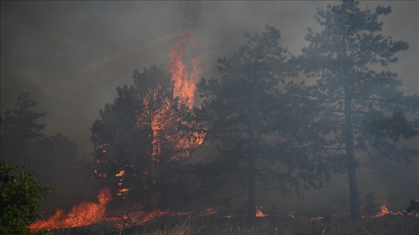 Fire near Bulgaria’s border with Türkiye burns tens of thousands of hectares