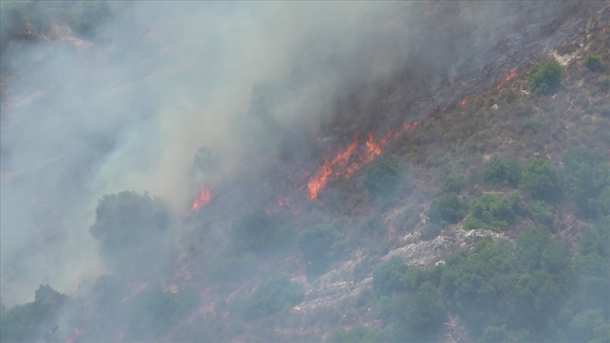 İsrail'in Lübnan'ın güneyine fosfor bombasıyla düzenlediği saldırı orman yangınlarına neden oldu