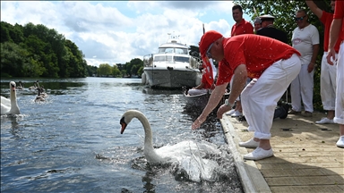  Centuries-old Swan-upping ceremony returns to UK’s River Thames