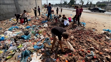 غزة.. أطفال ينبشون النفايات بحثا عن طعام 