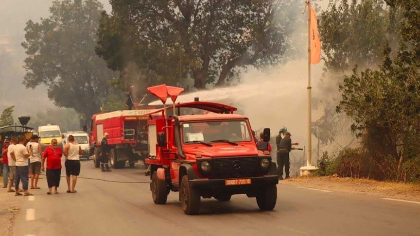 فرق إطفاء جزائرية وتونسية تخمد حريق غابات على حدود البلدين