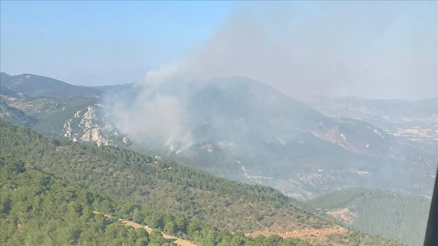İzmir Bergama'da ormanlık alanda çıkan yangına müdahale ediliyor