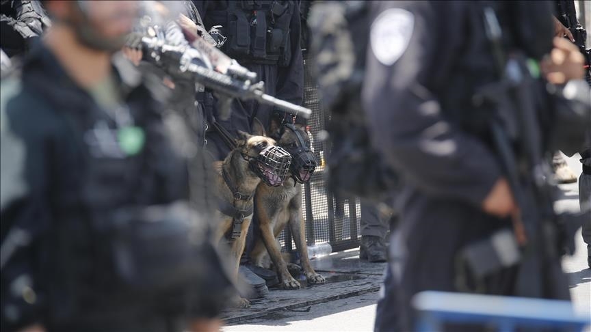 فلسطينية: كلب إسرائيلي نهش جسد ابني المصاب بمتلازمة داون وقتله (تقرير)