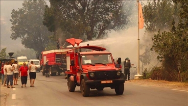 Des équipes algériennes et tunisiennes de pompiers éteignent des feux de forêt à la frontière des deux pays
