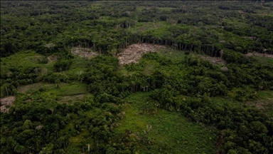 Une tribu amazonienne isolée aperçue à proximité des sites d'exploitation forestière au Pérou