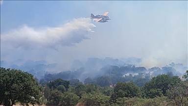 Çanakkale'de zeytinlik alanda çıkan yangın kontrol altına alındı
