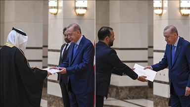 سفیران جدید چندین کشور استوارنامه خود را تقدیم اردوغان کردند
