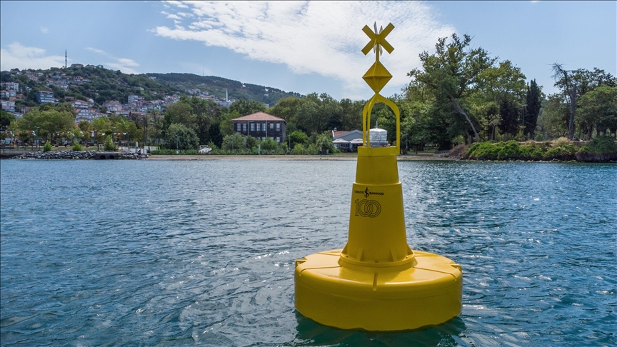 Marmara Denizi ve İstanbul Boğazı'ndaki deniz çayırları şamandıralarla korunacak