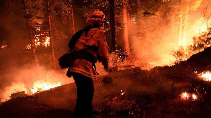 Шумски пожари во Италија, загинаа двајца пожарникари