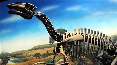 نيويورك.. بيع أحفورة ديناصور بـ44.6 مليون دولار