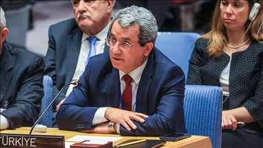 Постпред Турции призвал СБ ООН выполнить свой долг по Газе