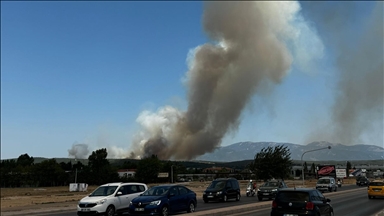 İzmir Gaziemir'de ormanlık alanda çıkan yangına müdahale ediliyor