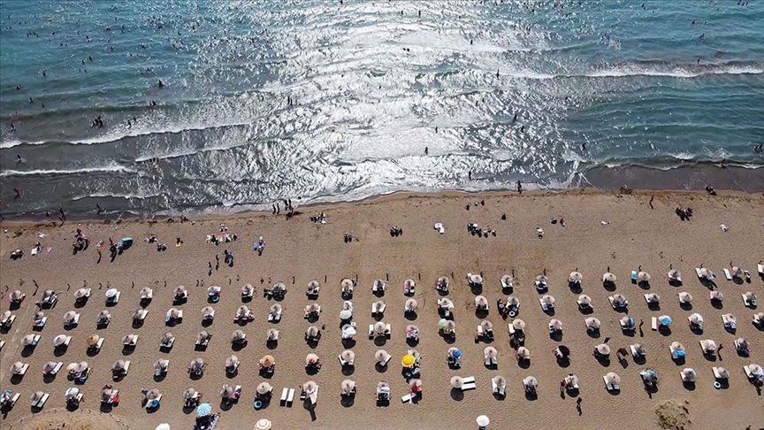 Sıcaklık artışı bu yıl yumurtadan çıkan carettaların cinsiyetini değiştirdi