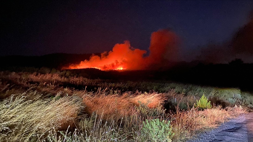 Çanakkale'nin Ayvacık ilçesinde çıkan orman yangınına müdahale ediliyor