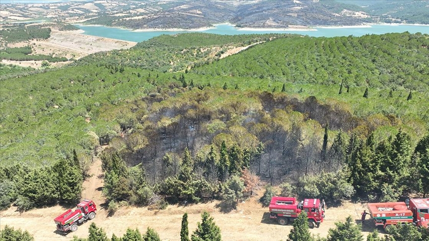 Çanakkale'nin Bayramiç ilçesinde çıkan orman yangınına müdahale ediliyor