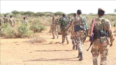 Somalie: 20 membres d'al-Shabab tués lors d'opérations militaires