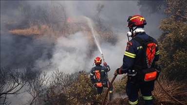 В Греции лесные пожары вспыхнули в 68 точках 