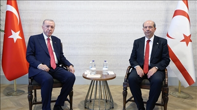 Президент Эрдоган встретился с президентом ТРСК