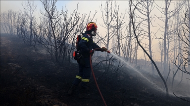 Yunanistan'da son 24 saatte çıkan 45 orman yangınından 31'i kontrol altına alındı