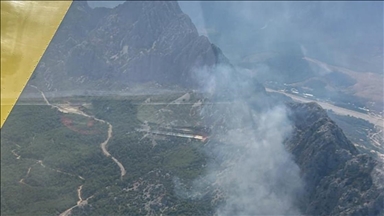 Antalya'da ormanlık alanda yangın çıktı 