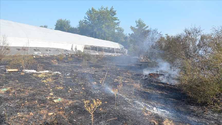 Antalya'da otluk alanda başlayan yangın ormana ve seralara sıçradı