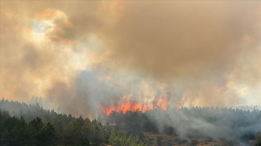 Kastamonu'da ormanlık alanda çıkan yangına müdahale ediliyor