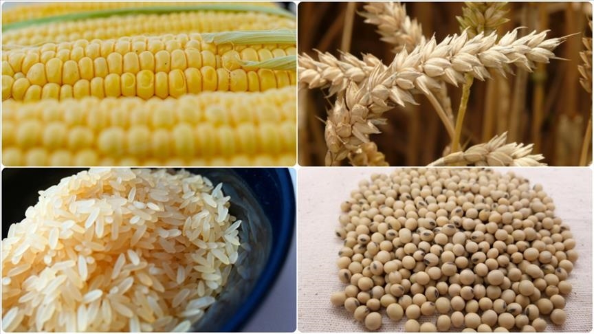 Commodity markets experience selling pressure ahead of US elections