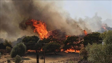 Algeria extinguishes 26 fires in past 24 hours
