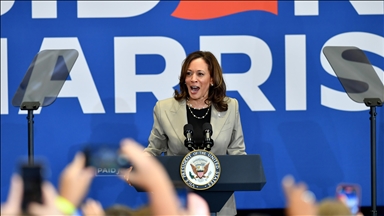  Harris endorsement does not cement her role as Democratic nominee. What comes next?