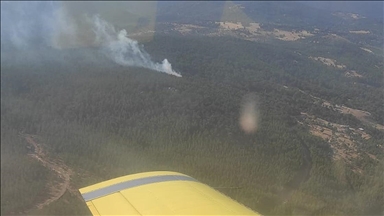 Balıkesir'deki orman yangını kontrol altına alındı