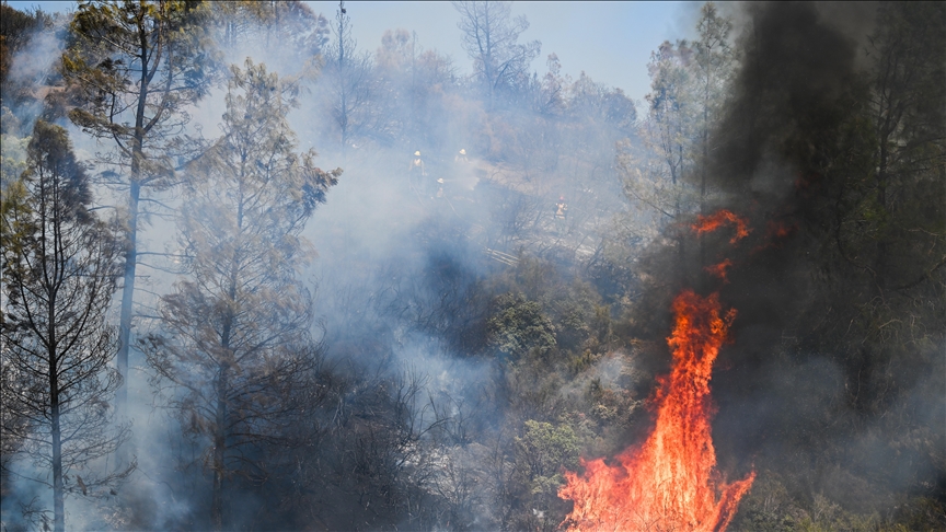 Wildfires rage across Western US, destroying homes and forcing evacuations